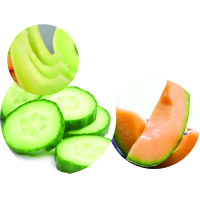 orange and green melon with cucumbers